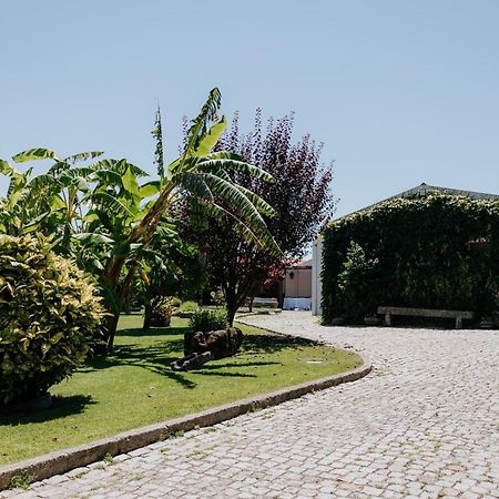 Casa Dos Meus Avos -Villas - Gaia & Porto Vila Nova de Gaia Eksteriør billede
