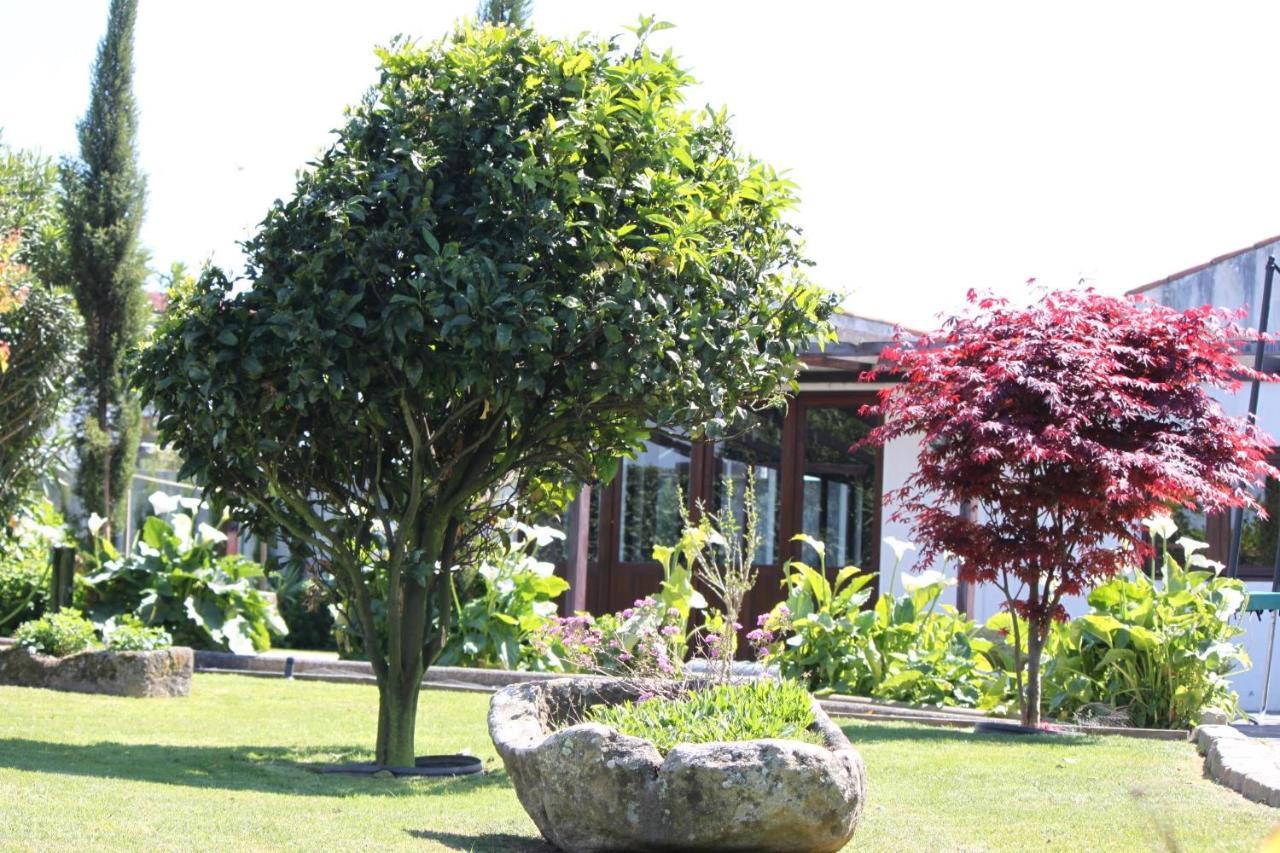 Casa Dos Meus Avos -Villas - Gaia & Porto Vila Nova de Gaia Eksteriør billede