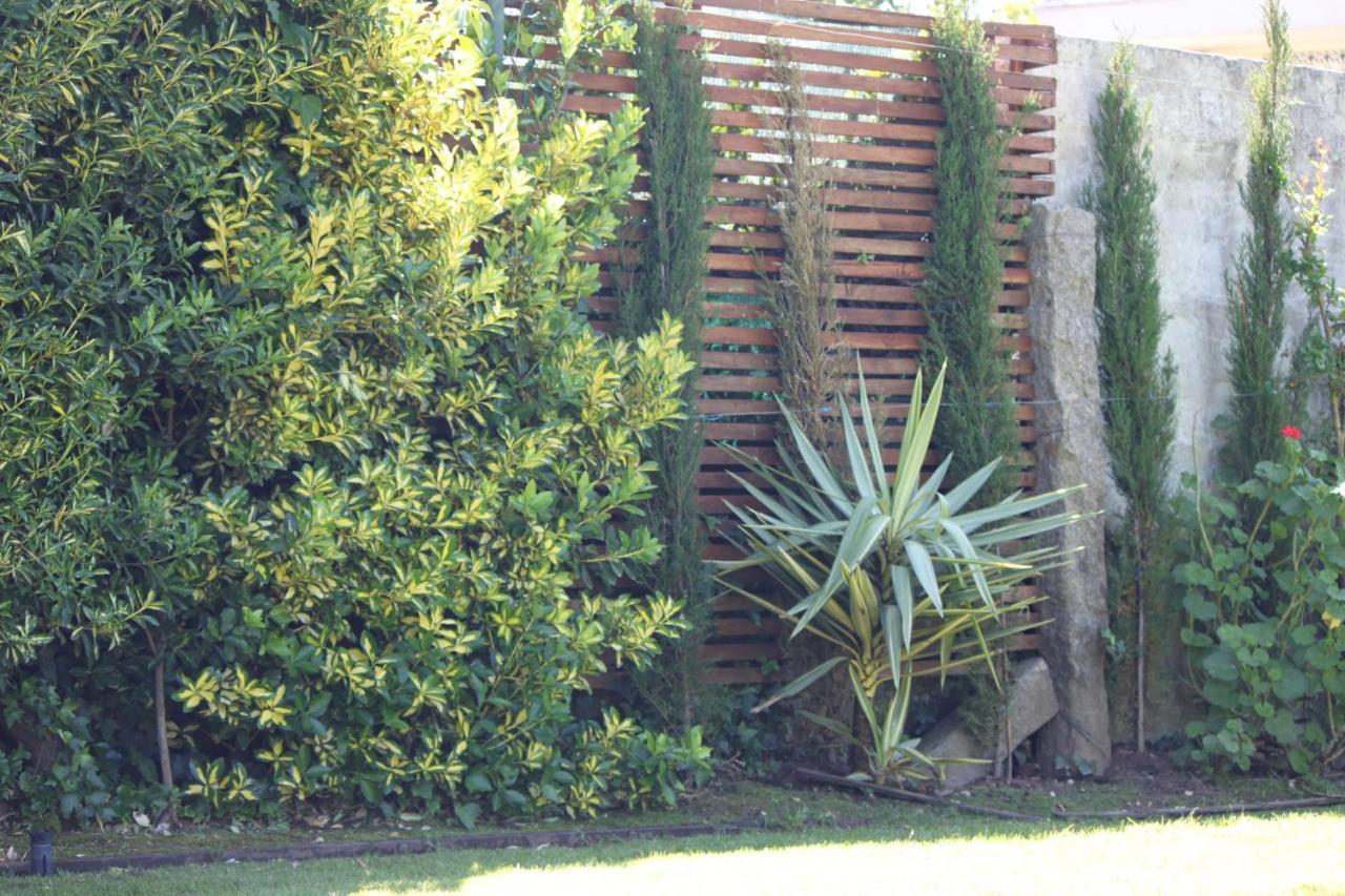 Casa Dos Meus Avos -Villas - Gaia & Porto Vila Nova de Gaia Eksteriør billede