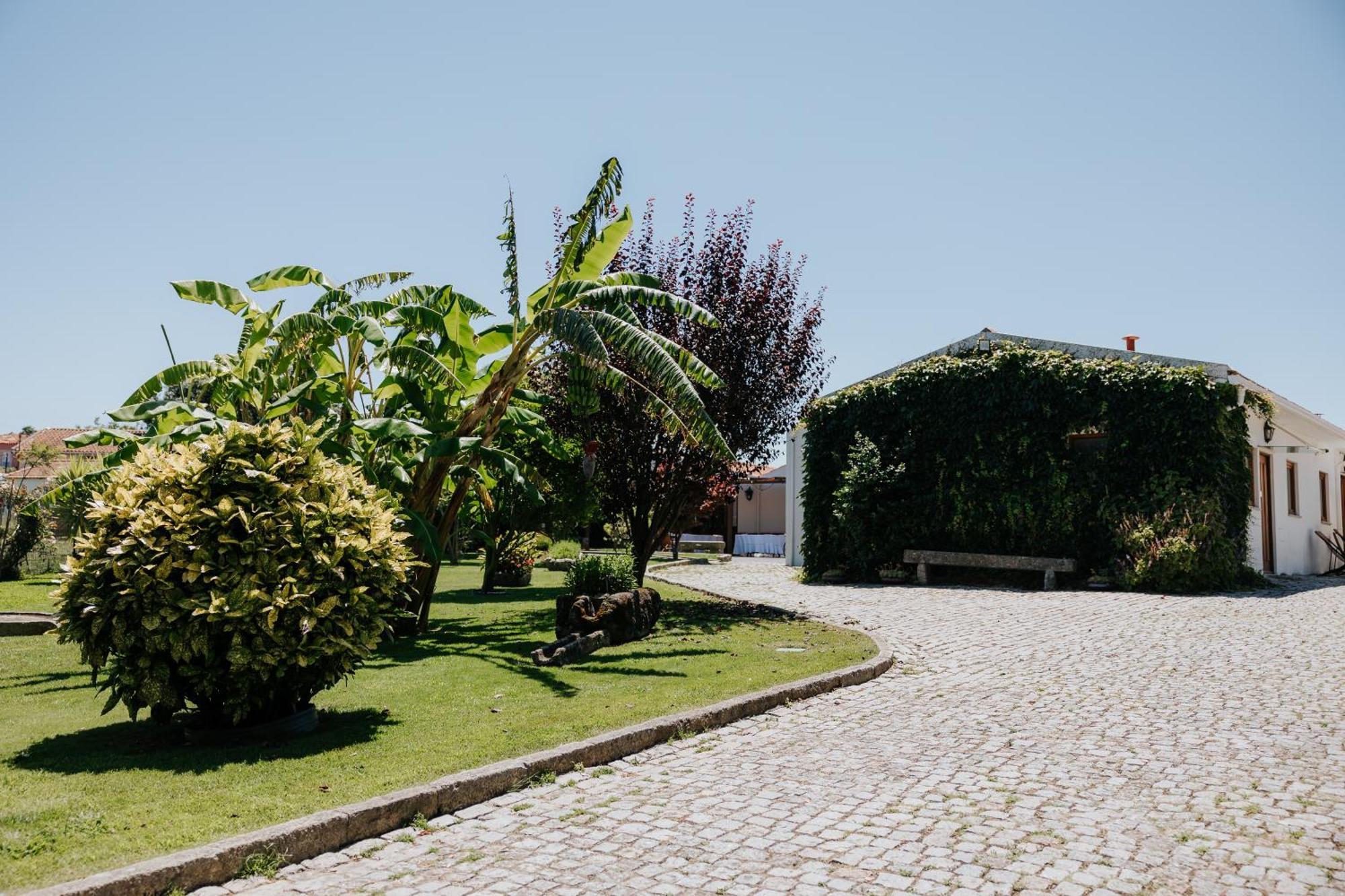 Casa Dos Meus Avos -Villas - Gaia & Porto Vila Nova de Gaia Eksteriør billede